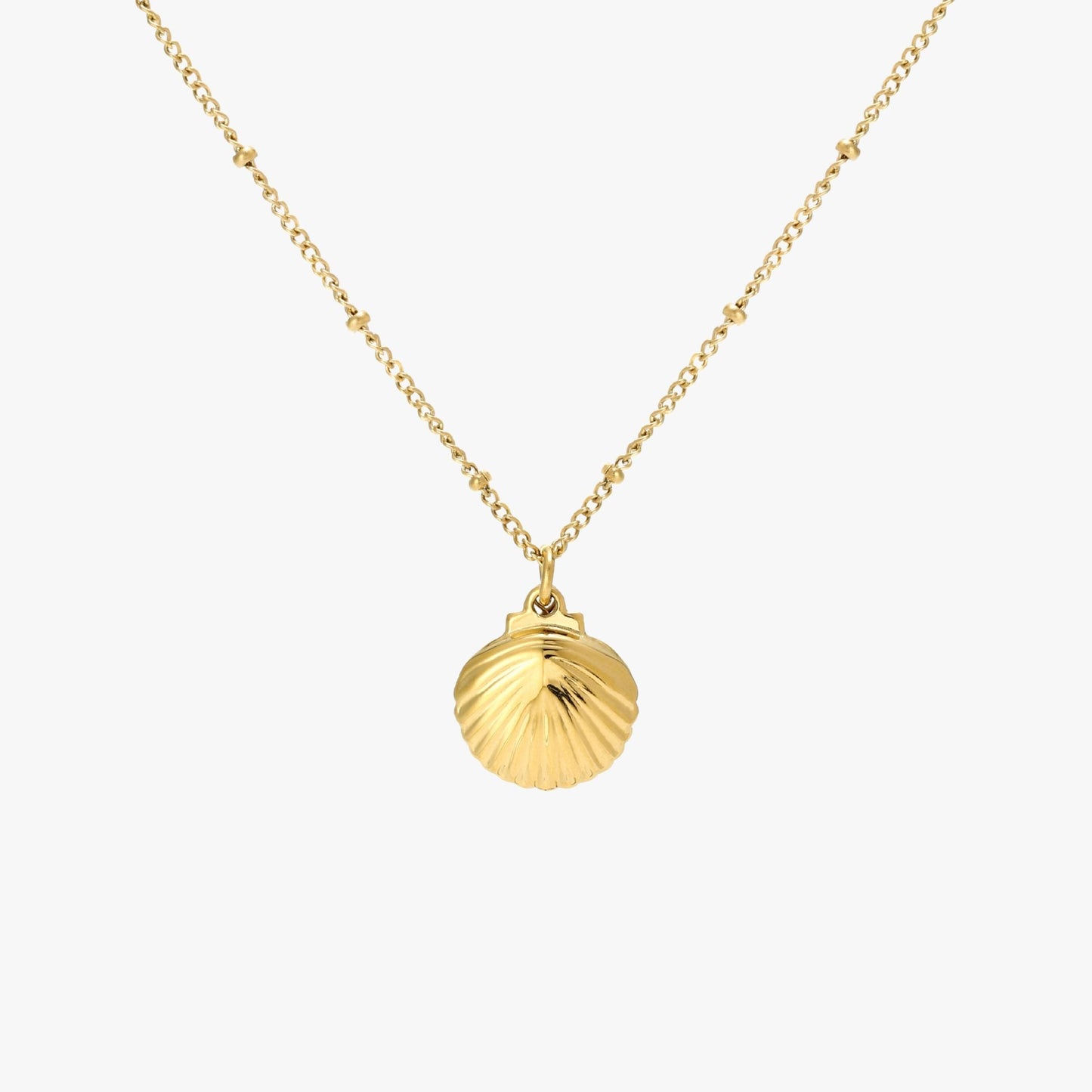 Seashell Necklace