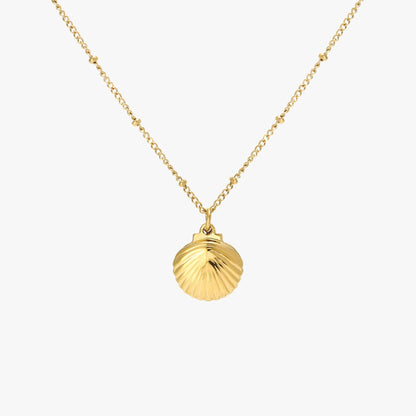 Seashell Necklace